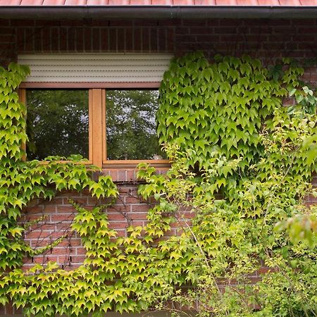 Ferienwohnung Meinersen Exterior photo